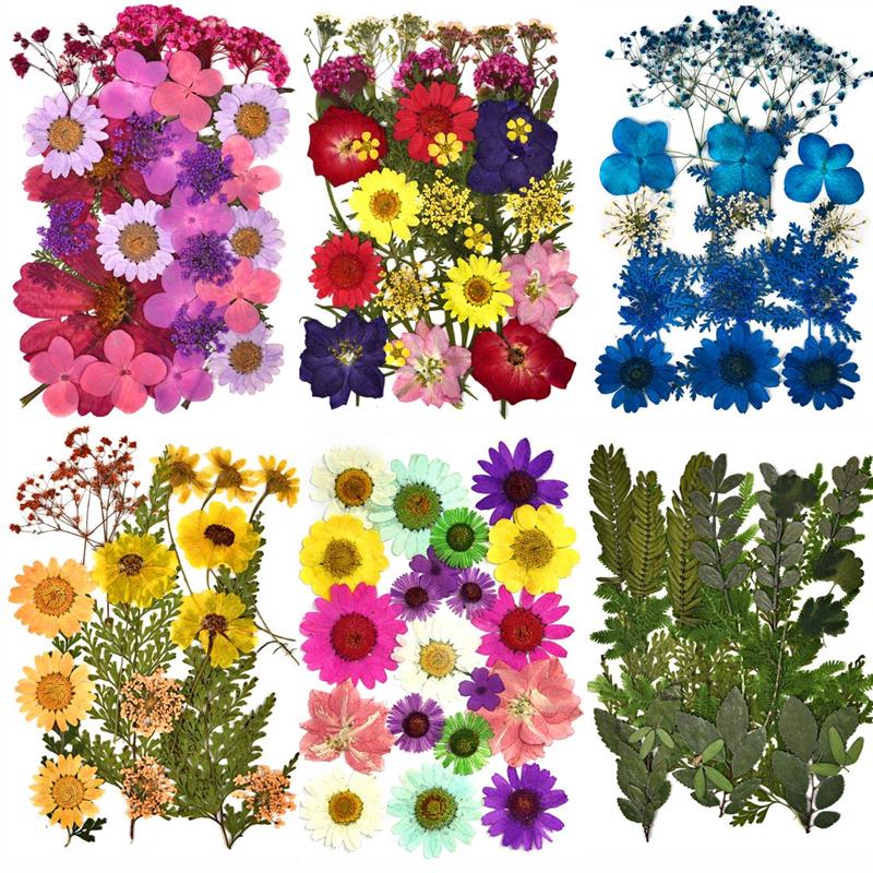 Dried Flowers DIY UV Mold Resin Fillers Expoxy Flower For Nail Art