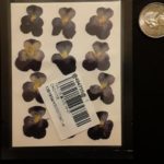 DIY Dried Flowers Resin Mold Fillings for Nail Art Home Decor photo review